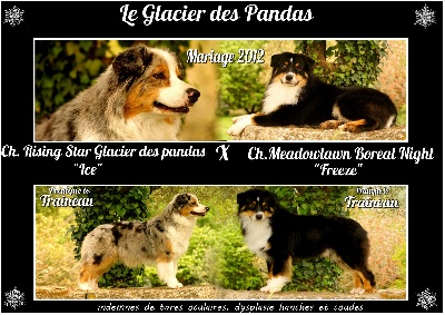 du glacier des pandas - Portées prévues en 2012